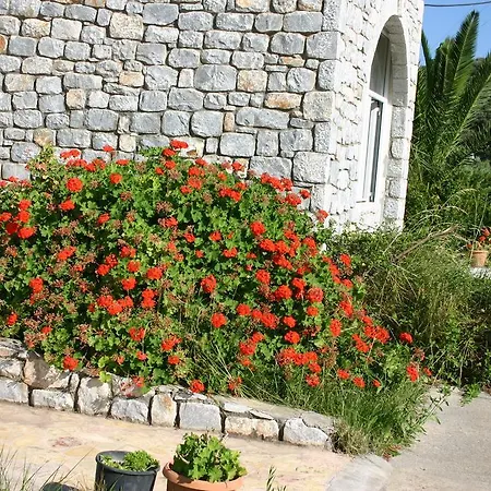 Apartment Porto Ageranos